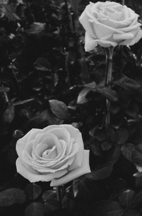 Archillect ID 36691