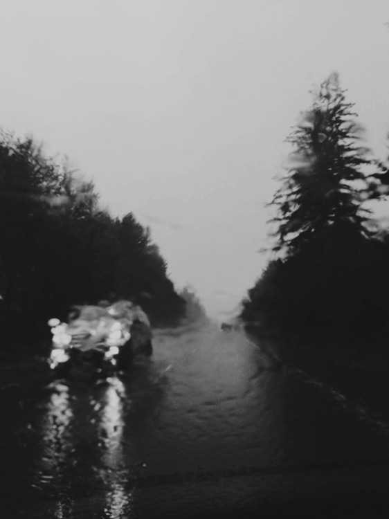 Archillect ID 36779