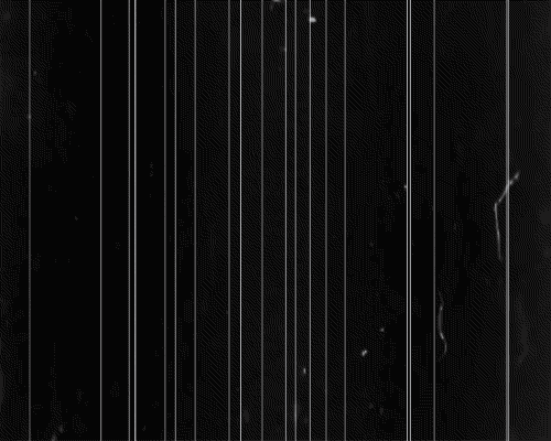 Archillect ID 36956
