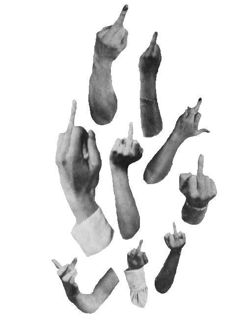 Archillect ID 37010