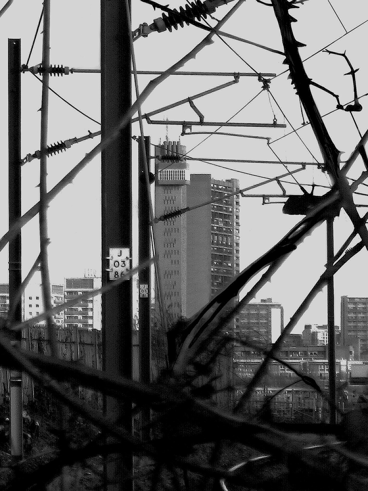 Archillect ID 37075