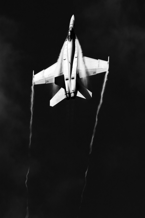 Archillect ID 37227