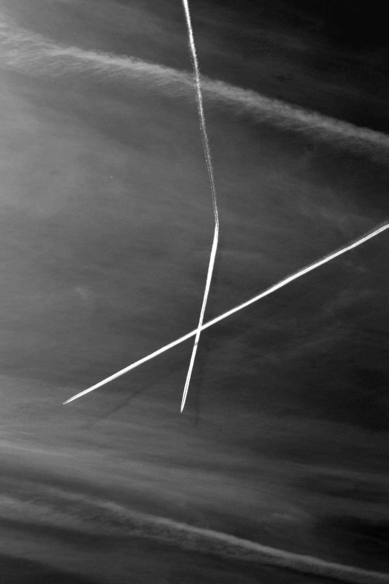 Archillect ID 37252