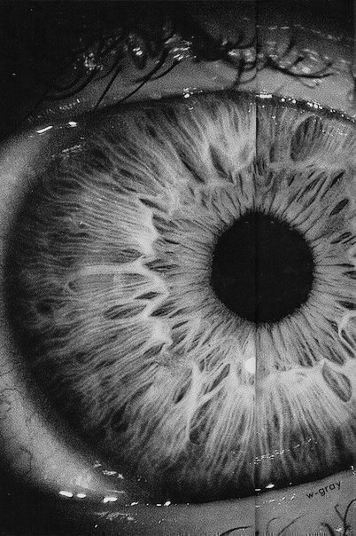 Archillect ID 37294
