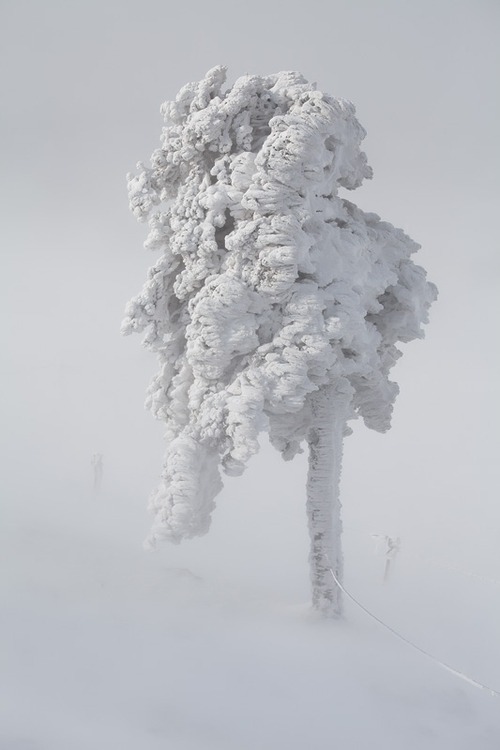 Archillect ID 37298