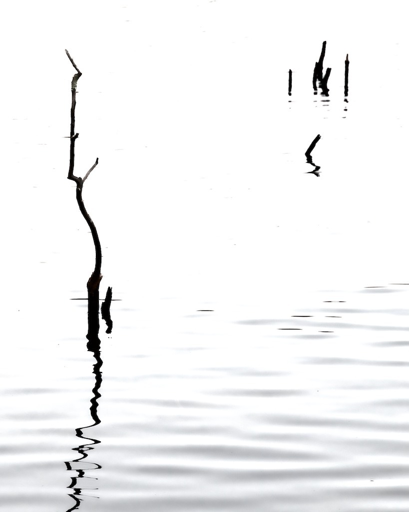 Archillect ID 37358