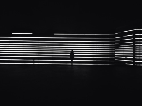 Archillect ID 37385