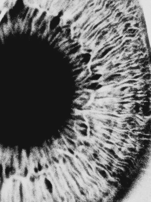 Archillect ID 37392