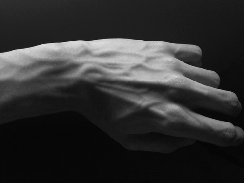 Archillect ID 37480