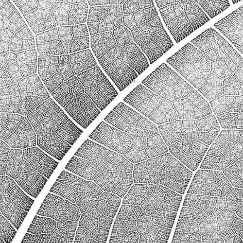 Archillect ID 37510