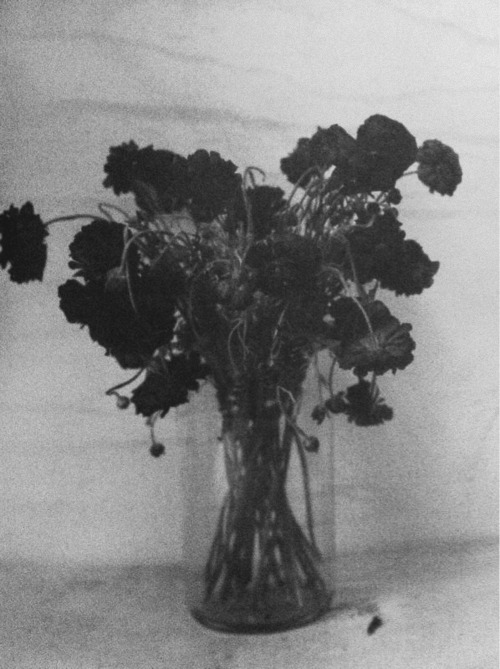 Archillect ID 37713