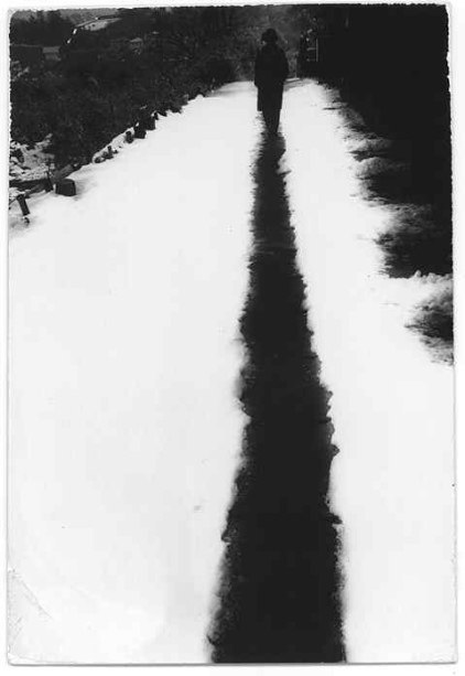 Archillect ID 37815