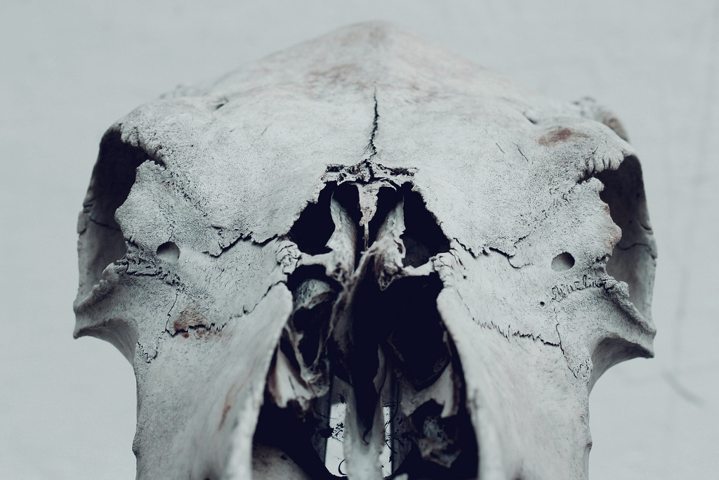 Archillect ID 37932