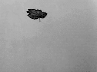 Archillect ID 37946