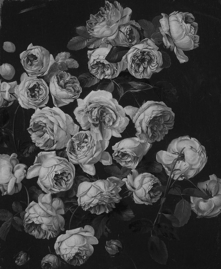 Archillect ID 38035