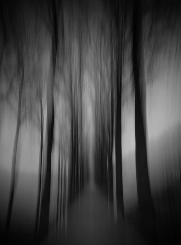 Archillect ID 38049
