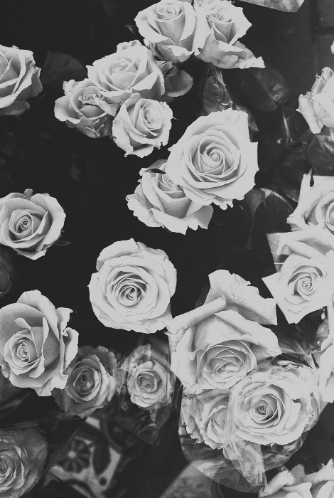 Archillect ID 38249