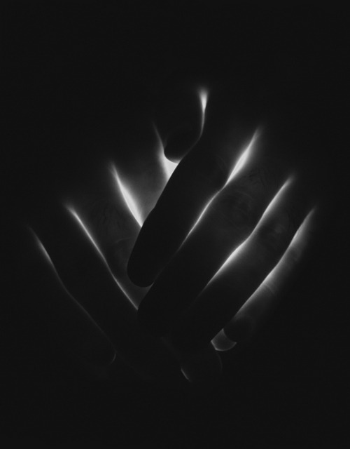Archillect ID 38338