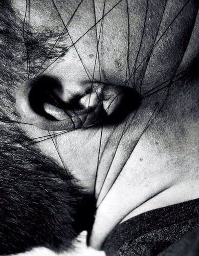 Archillect ID 38384