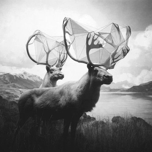 Archillect ID 38385