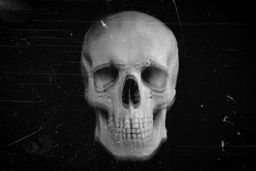 Archillect ID 38420