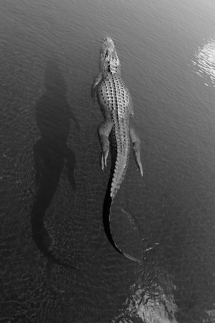 Archillect ID 38432