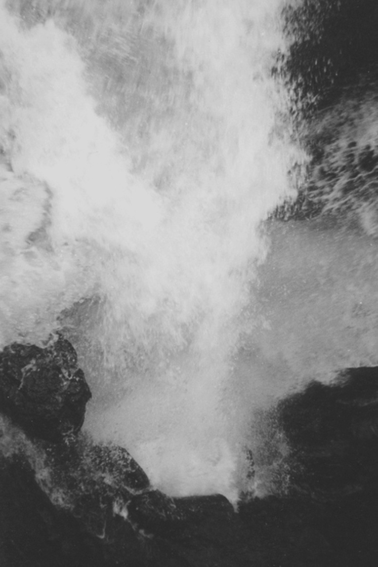 Archillect ID 38446