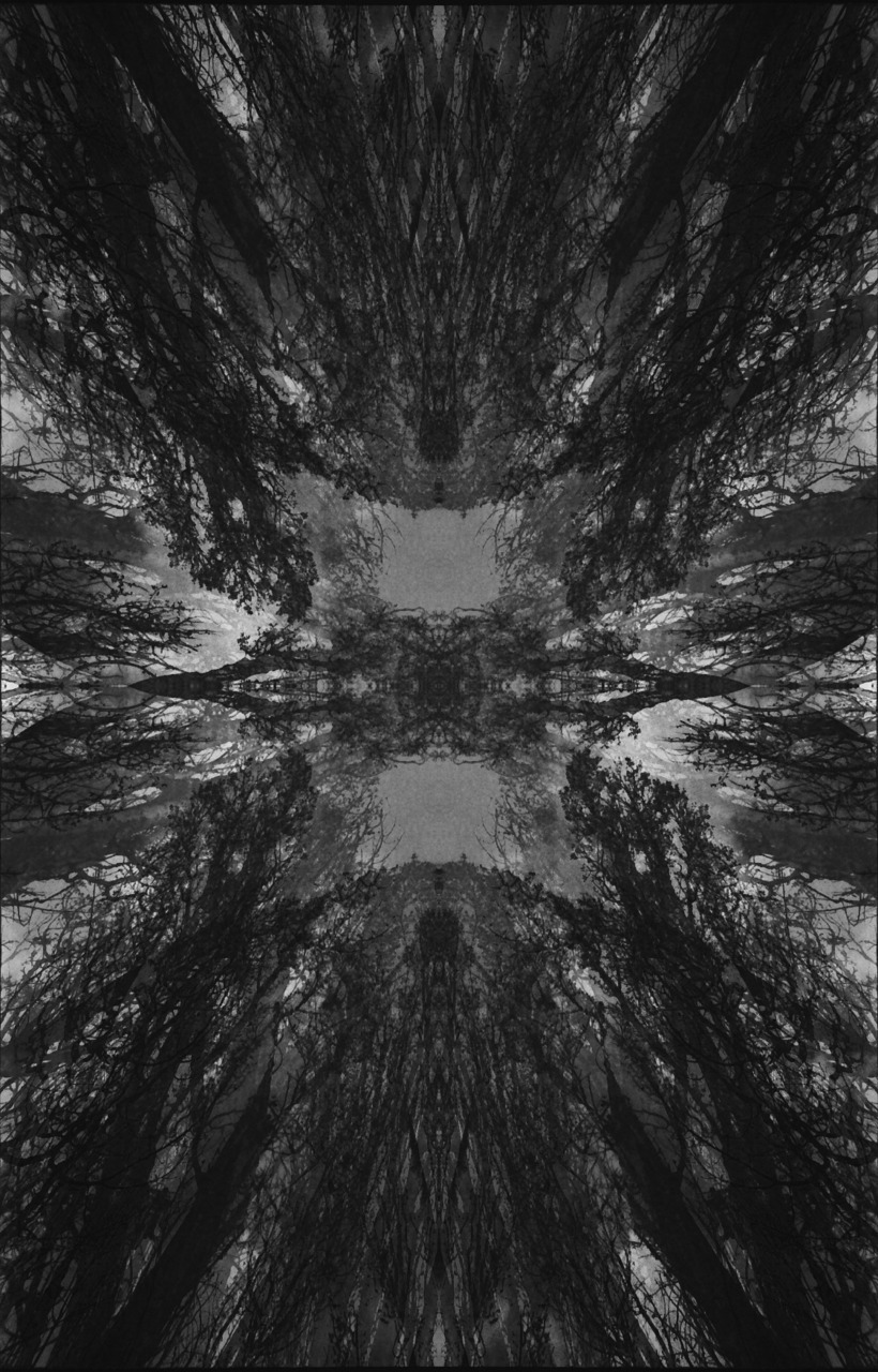 Archillect ID 38463