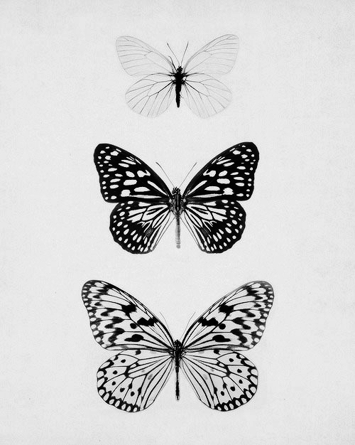 Archillect ID 38527