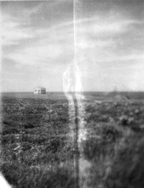 Archillect ID 38529
