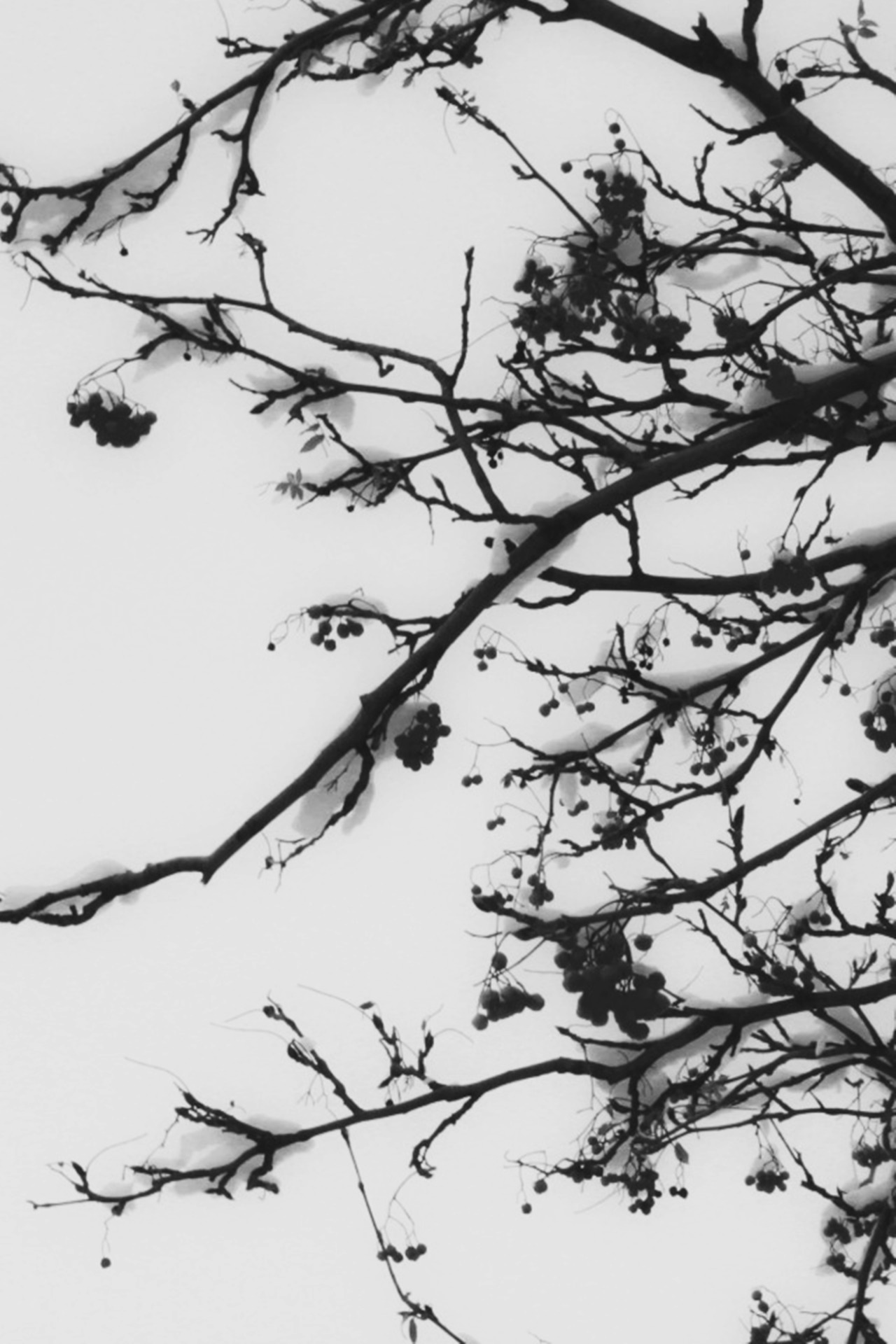 Archillect ID 38549