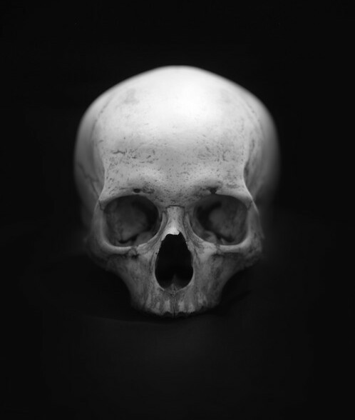 Archillect ID 38598
