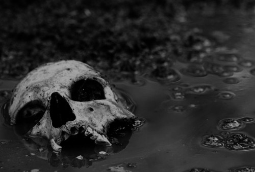 Archillect ID 38614
