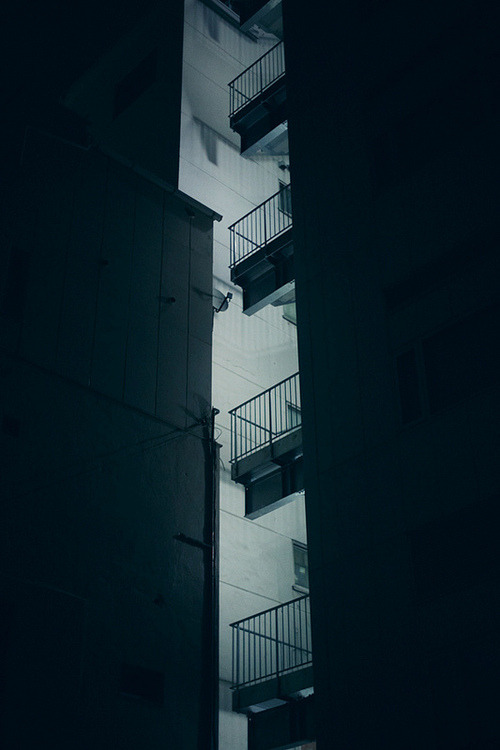 Archillect ID 38656
