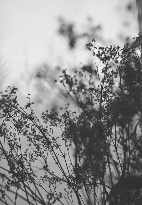 Archillect ID 38863