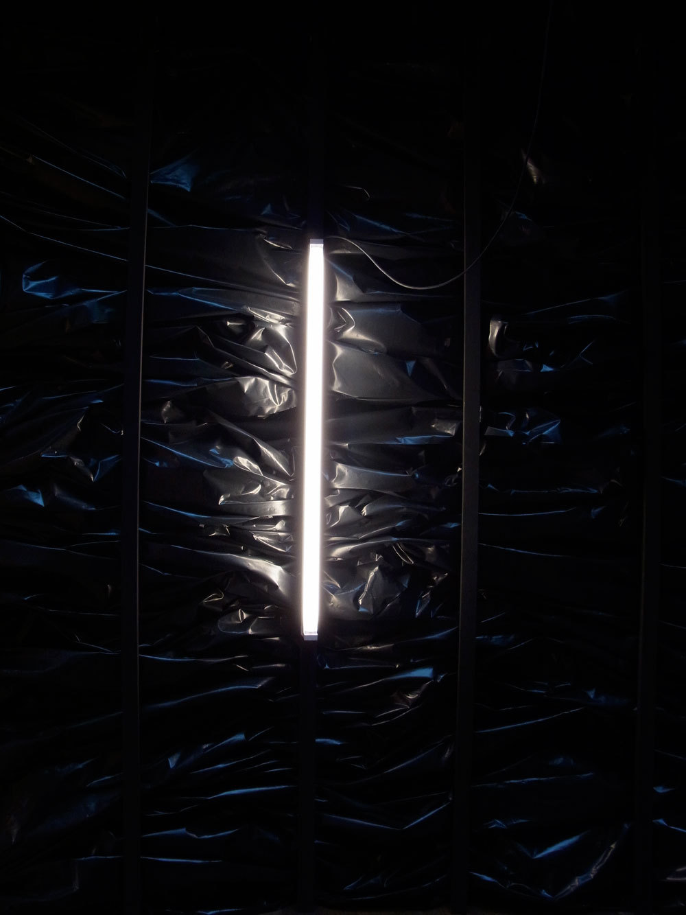 Archillect ID 39065