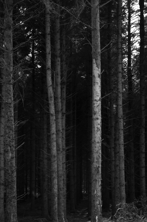 Archillect ID 39110