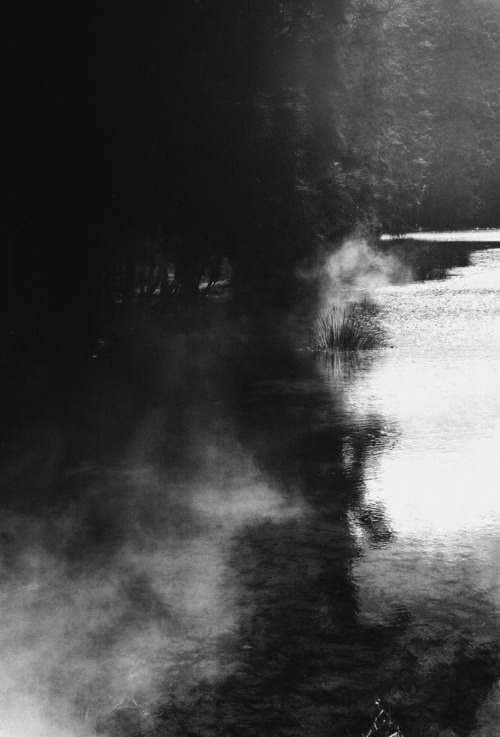 Archillect ID 39164
