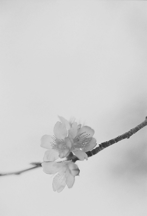 Archillect ID 39283