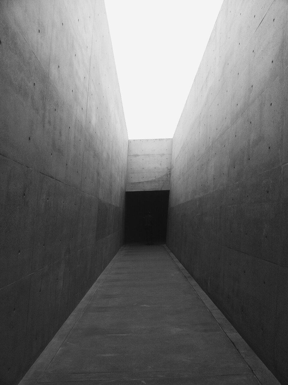 Archillect ID 39307