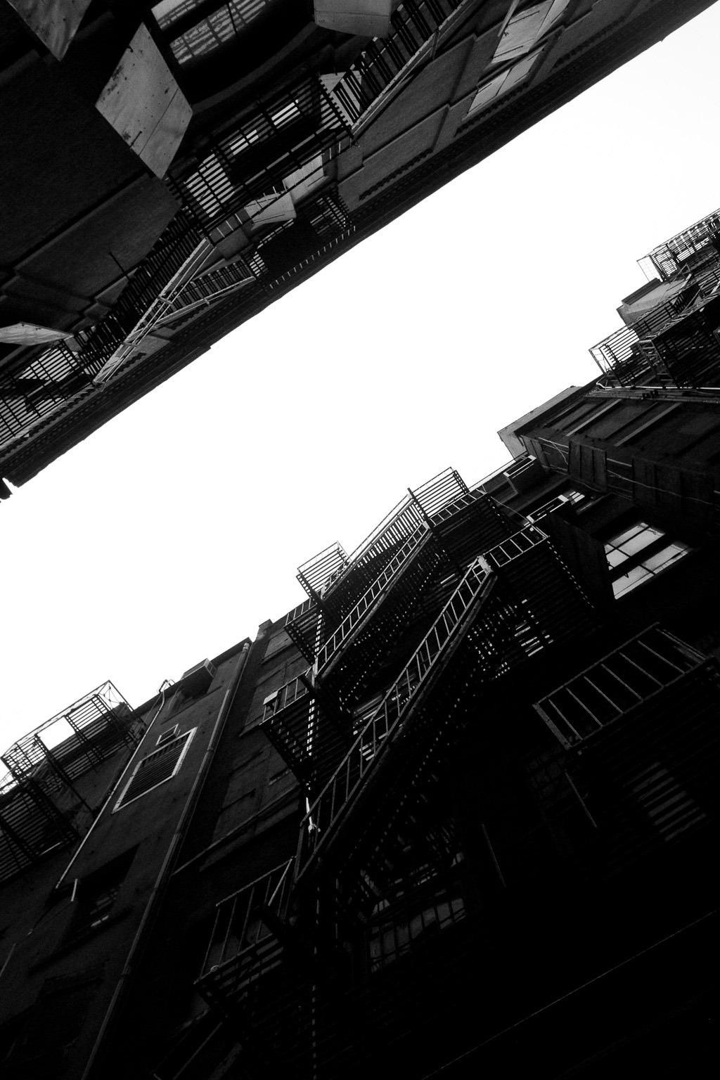 Archillect ID 39362