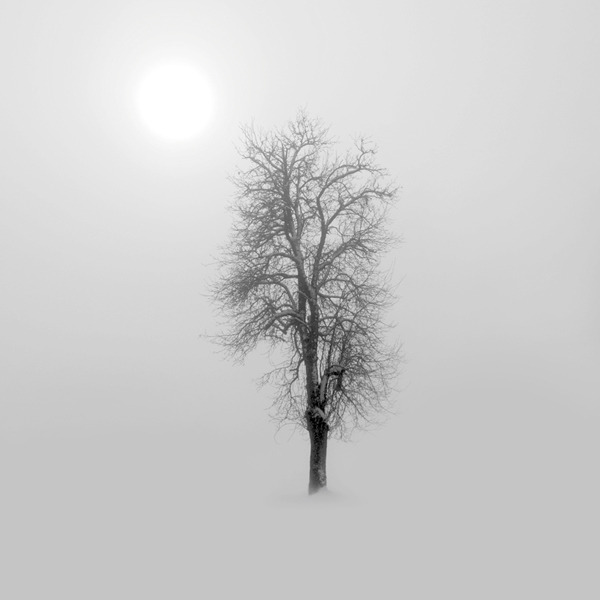 Archillect ID 39432