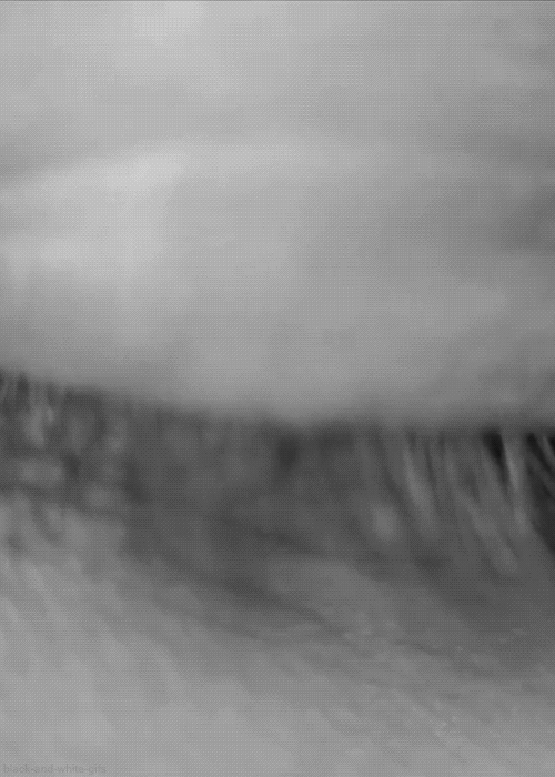 Archillect ID 39510