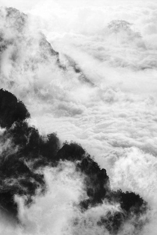 Archillect ID 39519