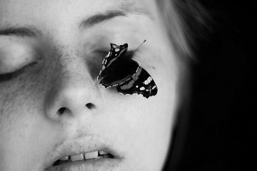 Archillect ID 39530