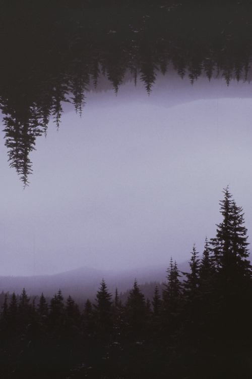 Archillect ID 39559