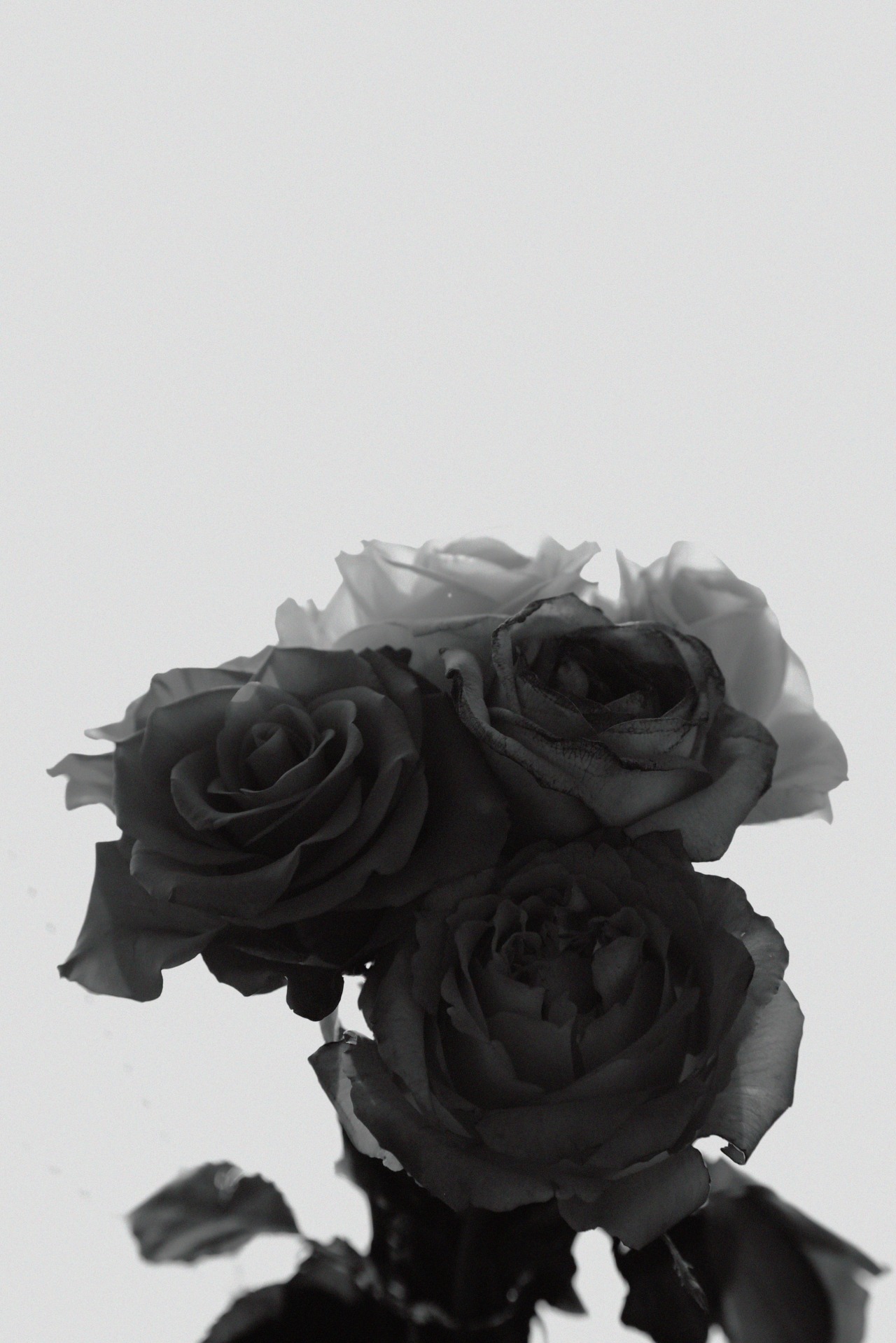 Archillect ID 39562