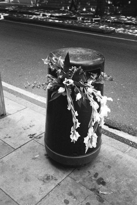 Archillect ID 39606