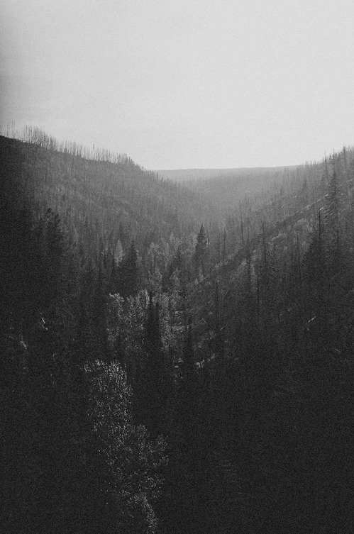 Archillect ID 39639