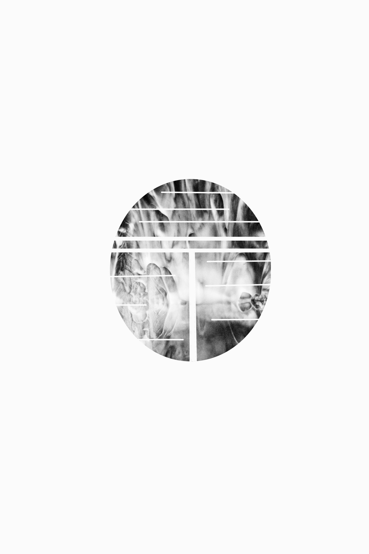 Archillect ID 39716